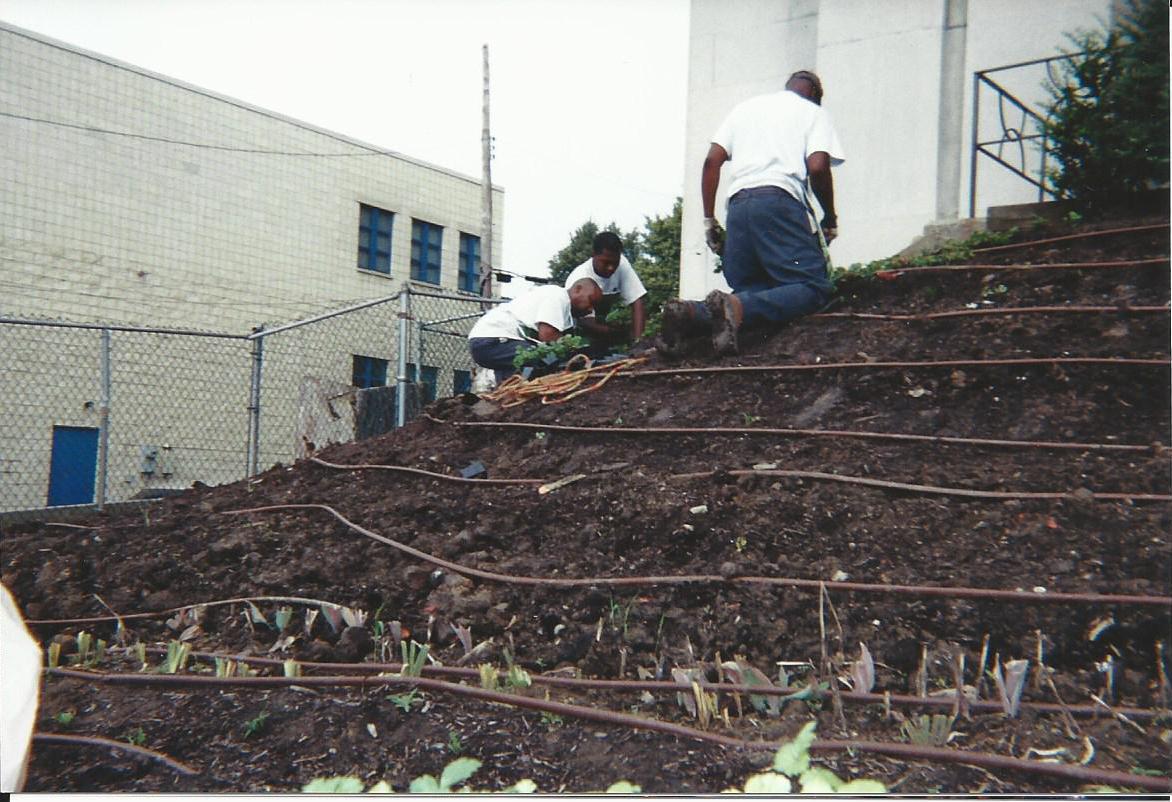 Irrigation, Flower & Ground Cover Installation Rosedale Block Cluster