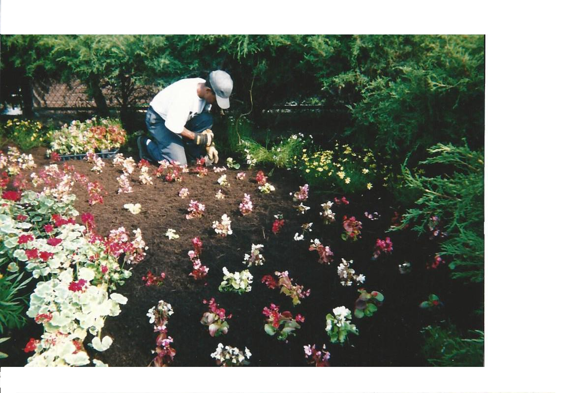 Flower Bed Installation Rosedale Block Cluster